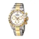 Rolex Daytona Gold White Dial 116503 Cosmograph Stainless Steel Men's Watch