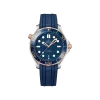 omega-o21022422003002 (1)